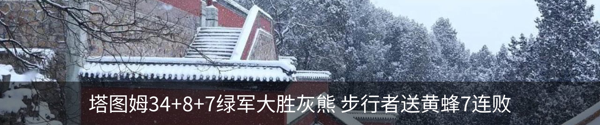 资讯动态